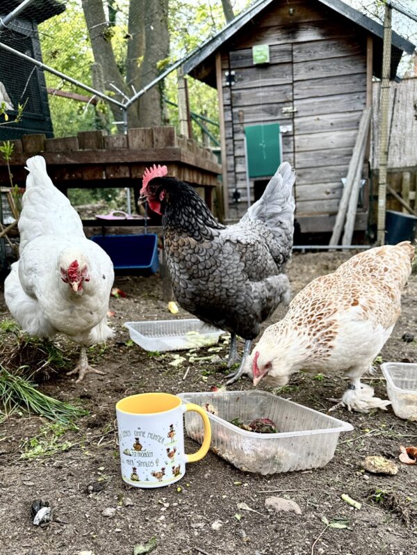 ArtHaferl - Hühner - beaZaubernde Tasse